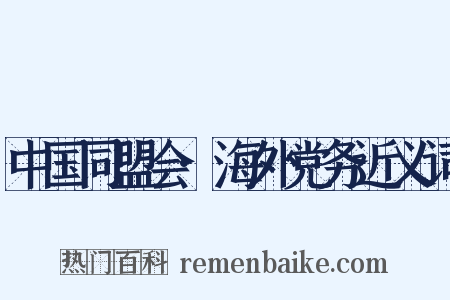 中国同盟会·海外党务近义词是什么意思的图片